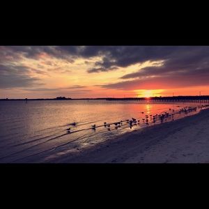 Meet your Posher, Britnay